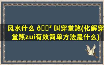 风水什么 🌳 叫穿堂煞(化解穿堂煞zui
有效简单方法是什么)